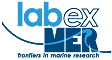 logo Labex Mer